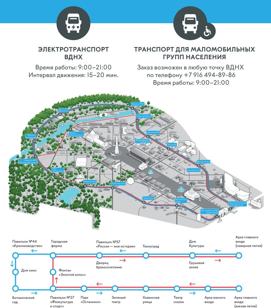 ноября 2019 — Клуб ветеранов МКФ